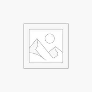 Social Media Management